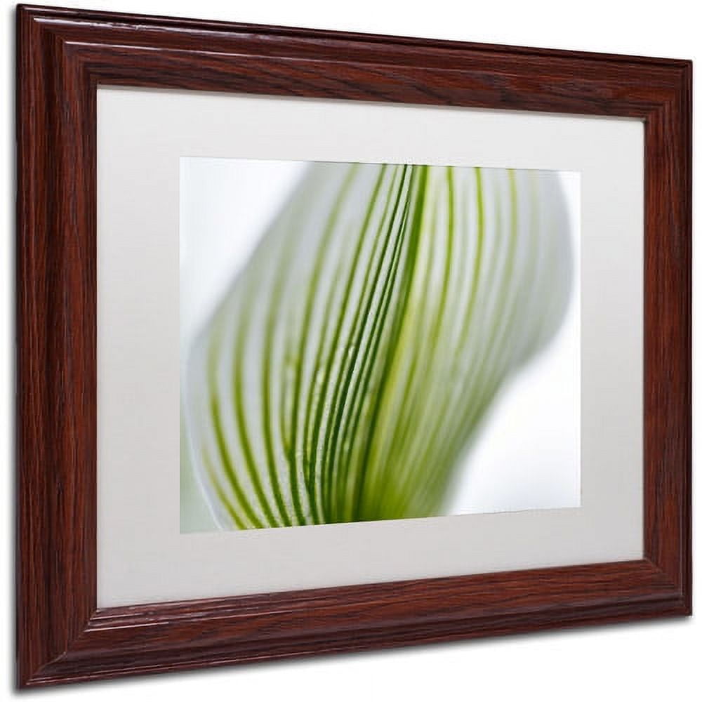 Trademark Fine Art "Orchid Abstract Blurred Lines" Canvas Art by Kurt Shaffer, White Matte, Wood Frame