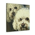 thumbnail image 2 of Bichon Frise at Play - Canvas, 2 of 10