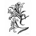 thumbnail image 2 of Miller, Sara Zieve 12x14 Black Ornate Wood Framed with Double Matting Museum Art Print Titled - Ink Lilies II, 2 of 4