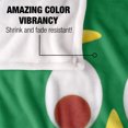thumbnail image 4 of Gumby Big Face Officially Licensed Silky Touch Super Soft Throw Blanket 50' x 60', 4 of 6