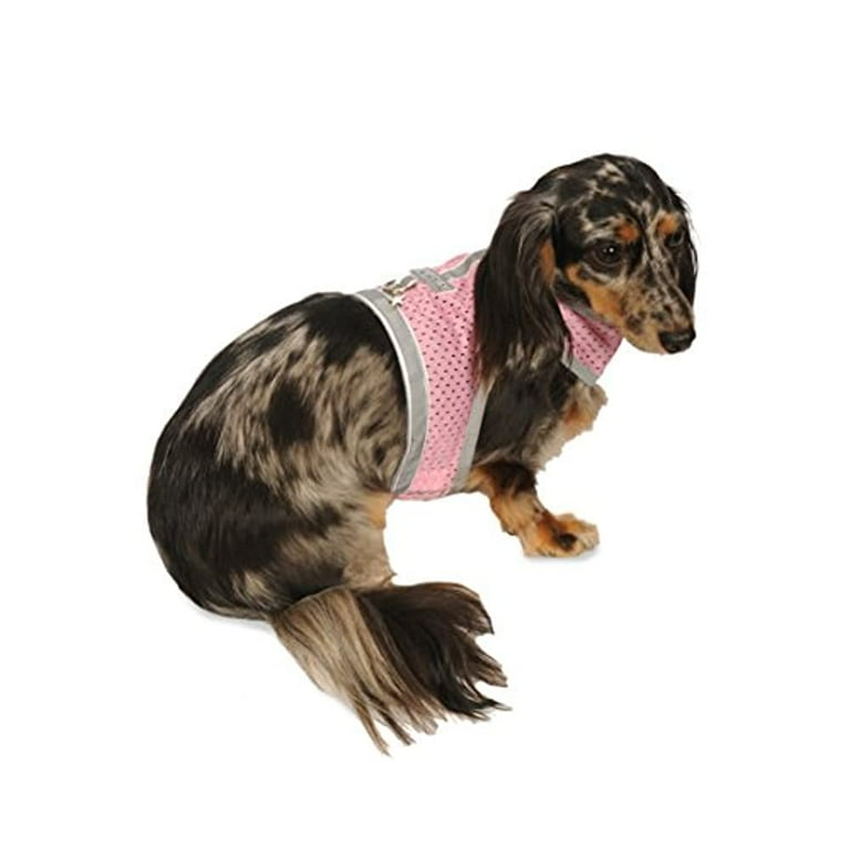 My Canine Kids Athletic Mesh Dog Vest Harness from The Inventor