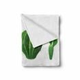 thumbnail image 2 of Cactus Soft Flannel Fleece Throw Blanket, Print Cartoon Style Image Hot Mexican Desert Plant Cactus Types with Spikes Image Art, Cozy Plush for Indoor and Outdoor Use, 50" x 60", Green, by Ambesonne, 2 of 6