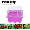 thumbnail image 2 of 2Pcs Purple 9Grid Plant Nursey Box Garden Pot Tray Development Container for Garden Starting Greenhouse, 2 of 2