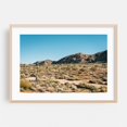 thumbnail image 2 of Desert Landscape, Joshua Tree 01 - California Photography Unframed Wall Art Print 16 x 24 inches, 2 of 7
