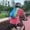 C, variant on Hiking Backpack with Water Bladder Hydration Pack Insulated Lightweight Trail Running Daypack Reflective Water Resistant Sports Gear for Biking Camping，B