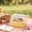 Clear, variant on Hamster Cage Plastic with Carry Handle Panoramic Cover and Deep Base for Syrian Dwarf Hamsters Gerbils & Mice