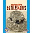 thumbnail image 1 of Buzzing Rattlesnakes, 1 of 3
