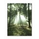 thumbnail image 1 of Póster de lienzo de paisaje de Río y bosque verde nórdico, impresiones de montaña y árbol de naturaleza, cuadro decorativo, arte de pared para sala de estar, 1 of 4
