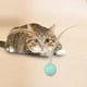 thumbnail image 5 of Pelota elástica para perros, juguete interactivo para masticar, pelotas de goma suave para gatos, pelota para hacer ejercicio, masticar, , Azul Colco Bolas de juguetes para masticar, 5 of 8