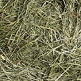 thumbnail image 2 of Small Pet Select 1st Cut Timothy Hay Pet Food for Rabbits, Guinea Pigs, and other Small Animals, Easy to Store Box, 5 LB, 2 of 4
