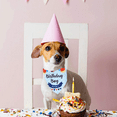 thumbnail image 4 of PerroCumpleañosBandana,PerroCumpleañosNiñaBandanaTriánguloBufandaparaPerroCachorroCumpleaños,PerroAmantePropietarioRegalo, 4 of 5