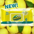 OdoBan Disinfectant and Odor Eliminating Wipes, Air Freshener, 4 Pack
