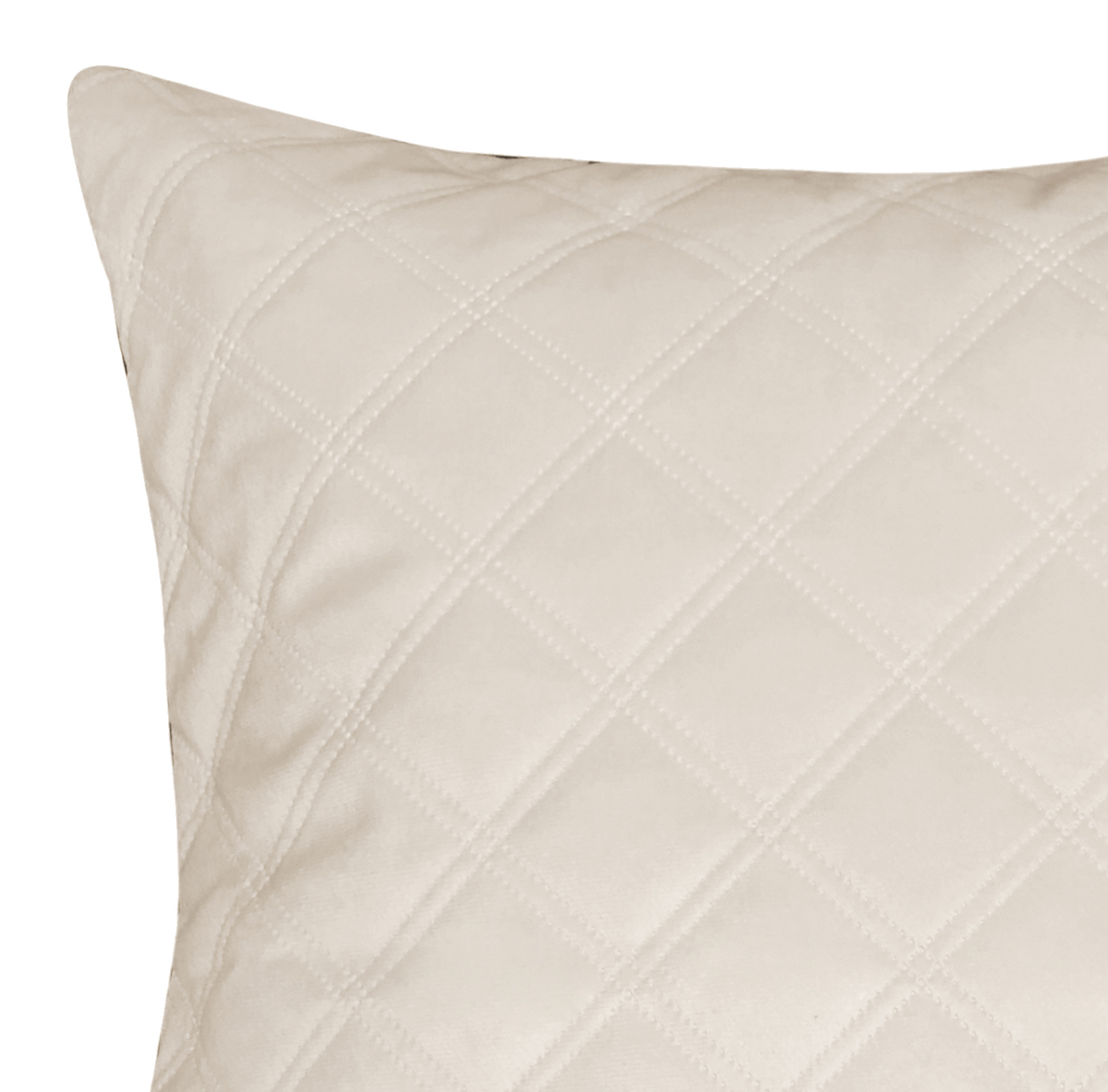 Emerson Velvet Embossed Throw Pillow 18x18 Beige