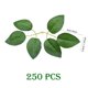 thumbnail image 5 of Hojas verdes artificiales Woohome Bulk Rose, 250 unidades, para bricolaje, 5 of 8