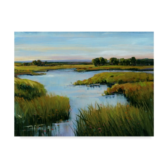 Trademark Fine Art 'At the Edge I' Canvas Art by Tim OToole