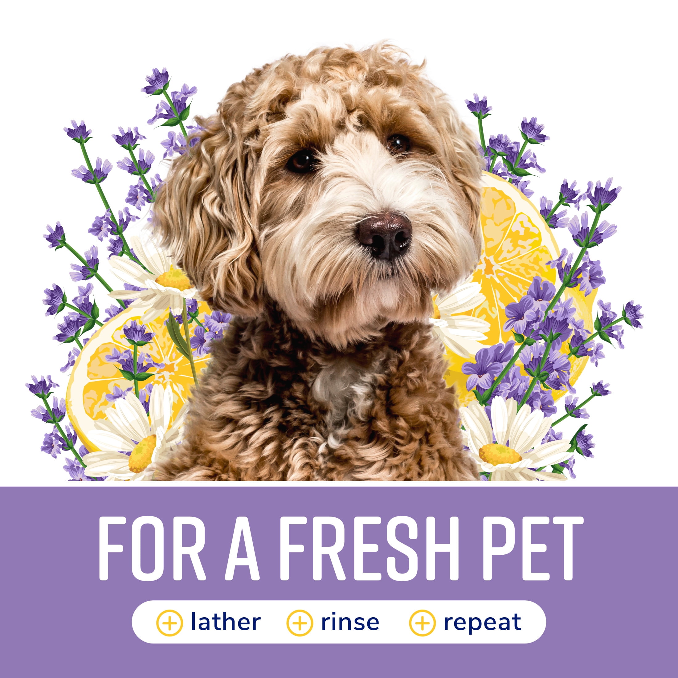 Naturel Promise Fresh & Soothing Calming & Moisturizing Lavender Dog Shampoo, 22 fl oz