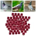 thumbnail image 4 of 100Pcs 2022 Aluminium Dove Racing Pigeon Foot Rings Bands 8mm Pink, 4 of 8