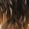 Dark Brown To Coffee Brown