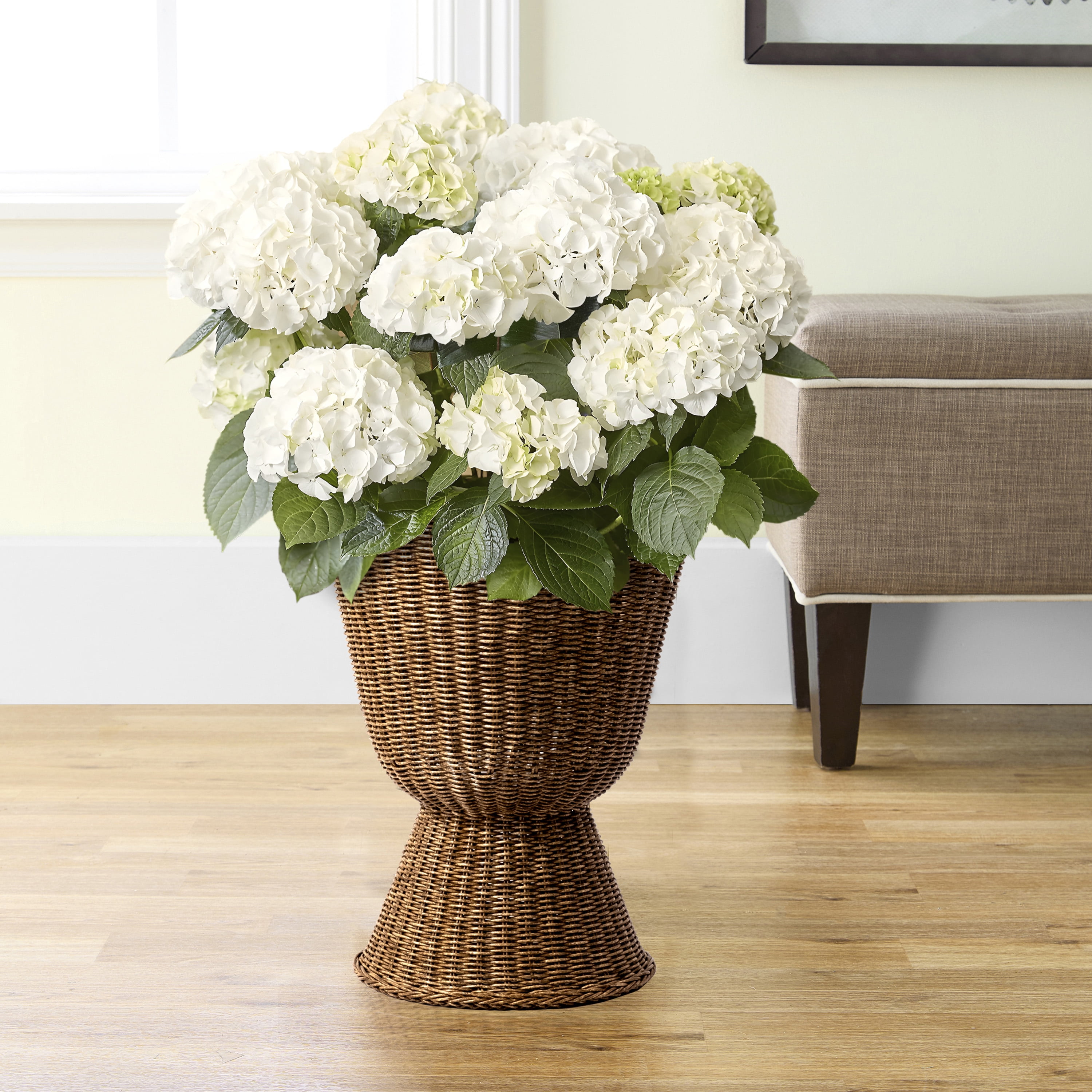My Texas House 14" Brown Woven Urn-Style Planter with Decorative Scalloped Rim and Transparent Inner Lining