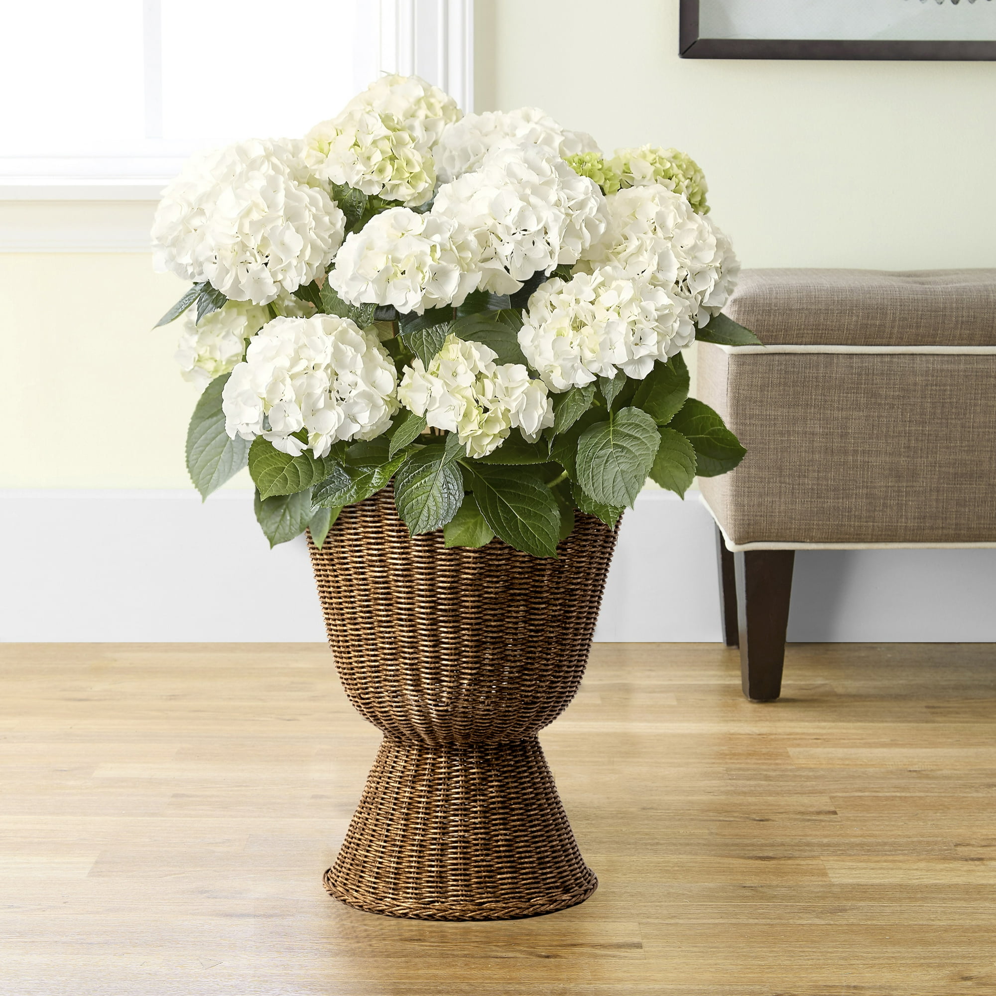 My Texas House 14" Brown Woven Urn-Style Planter with Decorative Scalloped Rim and Transparent Inner Lining