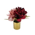 thumbnail image 1 of Martha Stewart Blush Eucalyptus Potted Arrangement, 1 of 1