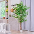 thumbnail image 3 of ROMSWI 5FT Artificial Ficus Tree with White Planter Realistic Ficus Plants with Natural Wood Trunk for Living Room Home Office Porch, 3 of 11