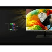 Asus ProArt PA32UCX-PK 32 4K UHD Mini LED LCD Monitor - 16:9 - Black, Black