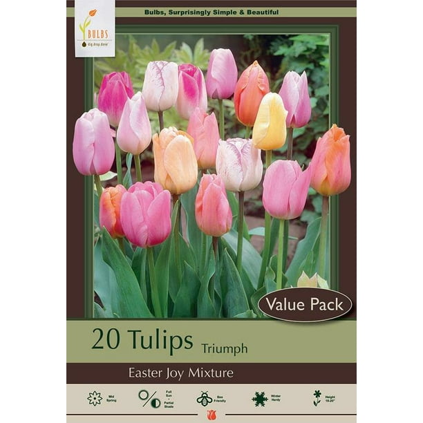 Easter Joy Mix Tulip 20 Bulbs Soft Pastel Hues 12/+ cm Bulbs