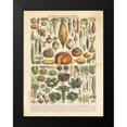 thumbnail image 2 of Babbitt, Gwendolyn 15x18 Black Modern Framed Museum Art Print Titled - French Vegetable Chart, 2 of 5
