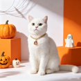 thumbnail image 4 of Halloween Pet Charm Necklace Collar, Cute HalloweenâElement Pendant Decorative Gold Chain Necklace, Pet Accessory for Cats & Small Dogs Halloween Party Dressâup, 4 of 6