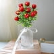 thumbnail image 1 of Arreglos florales de simulación de frutas al aire libre, plantas artificiales de bonsái para la decoración de la sala de estar y la mesa de comedor - Manzana, 1 of 6