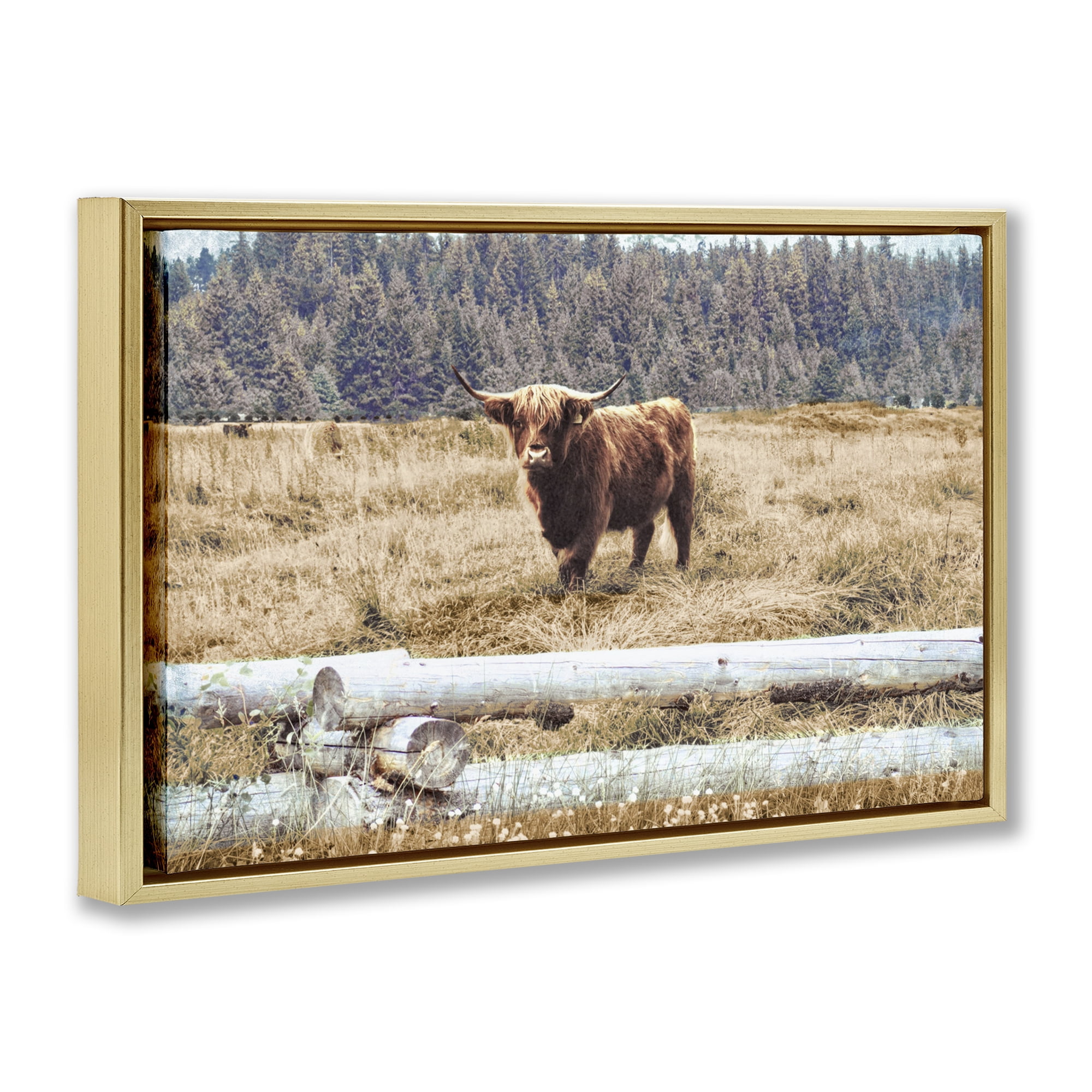 Stupell Industries Country Cattle with Fence Animals & Insects Photography Gold Floater Framed Canvas Art Print Wall Art, 31 x 21