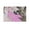 Unframe-style, variant on Anime The Tale of The Princess Kaguya Poster Famous Japan Painting On Canvas Wall Art Poster Scroll Picture Print Living Room Walls Decor Home Posters 12x18inch(30x45cm)