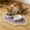 D, variant on Upgraded Pet Feeding Mat Quicks Drying Absorbent Non Sliped Cats And Dog Bowl Mat Pet Food And Water Dispenser Suitable For Indoor Use For Cats And Dogs A