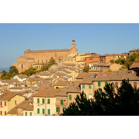 Italy Tuscany Siena - The Old Town Canvas Art - Panoramic Images (36 x (Best Towns In Italy)