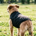 thumbnail image 4 of Sleeveless Dog Tank Top Summer Breathable Plain Pet Vest Machine Washable Soft Cotton Puppy T-Shirt for Small Medium Dogs Cats Indoor Outdoor Daily Wear, 4 of 5
