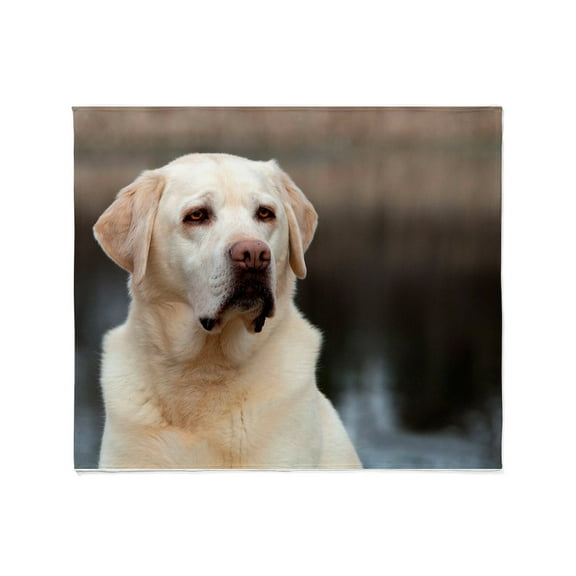 CafePress - Labrador Retriever Throw Blanket - Soft Fleece Throw Blanket, 50"x60" for All Ages
