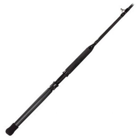 Tsunami TSTBC-661HW Trophy Wire Line Bunker Spoon Casting Trolling Rod 6 6