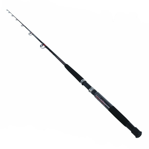 Shakespeare Ugly Stik Bigwater Casting Fishing Rod