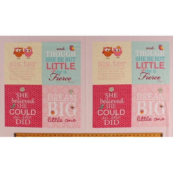 23.5" X 44" Panel Words Script Sister Definition Baby Girl Brother Sister Pink Cotton Fabric Panel (Y2144-43)