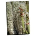 thumbnail image 2 of Gango Home Decor Cactus Flowers IV by George Johnson (Ready to Hang); One 24x36in Hand-Stretched Canvas, 2 of 4