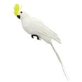 thumbnail image 1 of 1Pcs Simulation Parrot Window Gardening Decoration Bird Foam Feather Parrot Home Decoration, 1 of 15