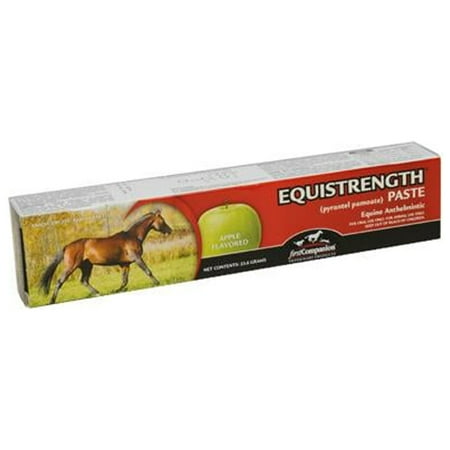 UPC: 0099355004368 | First Companion 19514747 Equistrength Paste  Apple Flavored  1-oz. – Quantity 1
