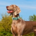 thumbnail image 4 of Rychif Cute Dog Collar, Cyan Flower Pattern, Soft Nylon Pet Collars for Small Medium Large Dogs, S, 4 of 6