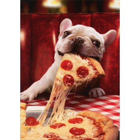 Avanti Press Dog With Cheesy Pizza Slice Funny Bulldog Birthday