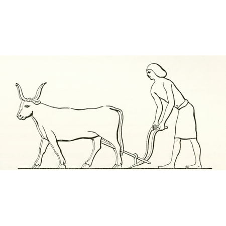 Ploughing with oxen in ancient Egypt From The Imperial Bible Dictionary published 1889 Canvas Art - Ken Welsh Design Pics (19 x 10)