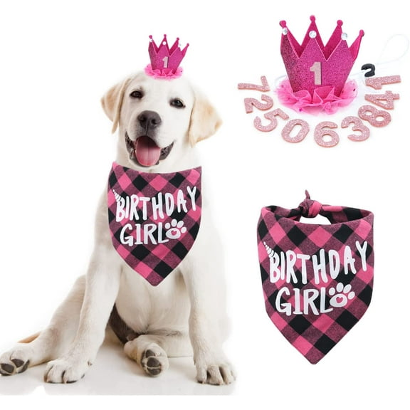 Bandana - Girl Dog Birthday Hat with Number - Supplies for Small & Medium Dogs