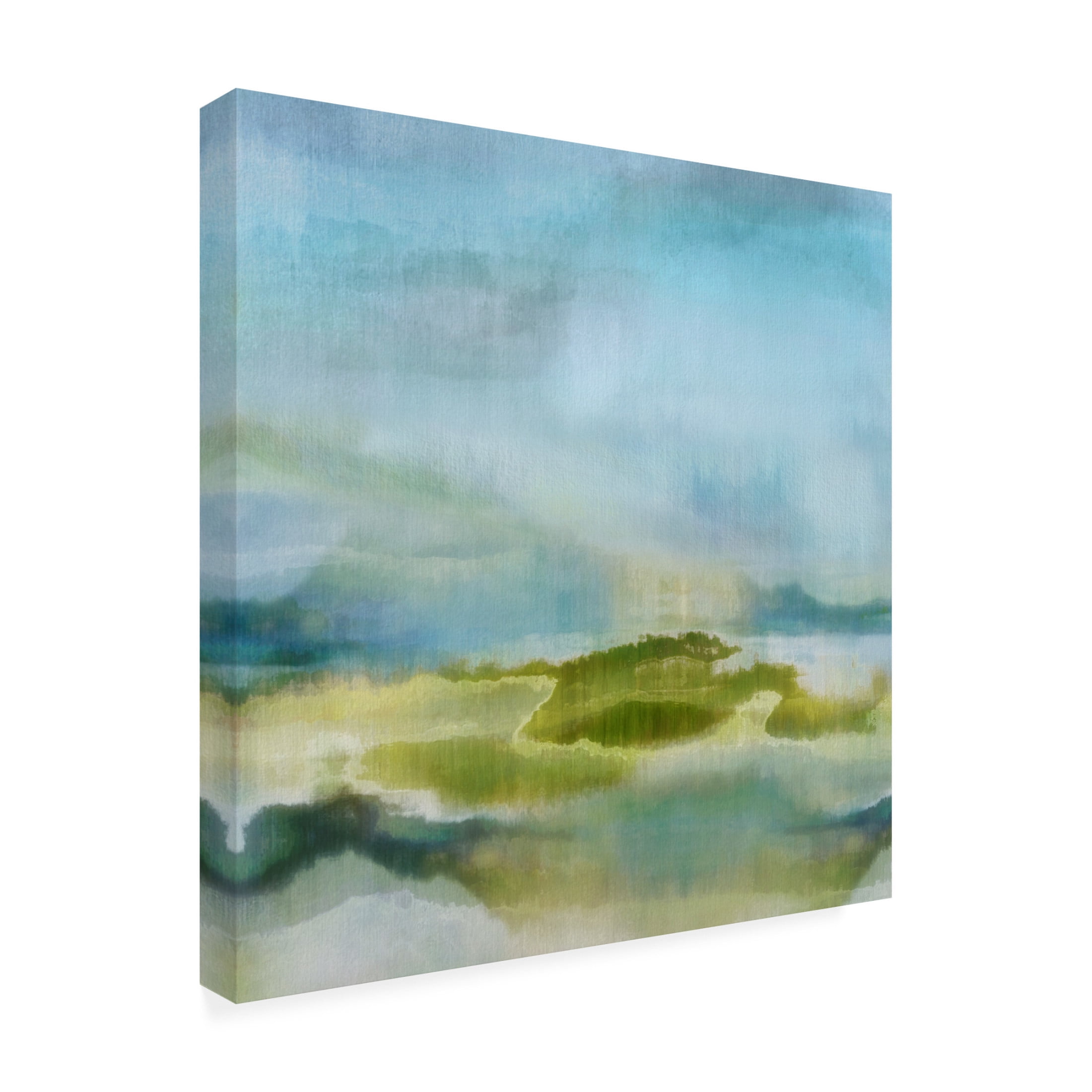 Canvas Wall Art - Cora Niele 'Wetlands IV' Wall Art for Living Room, Bedroom, or Office Décor by Trademark Fine Art - 24 x 24 Inches