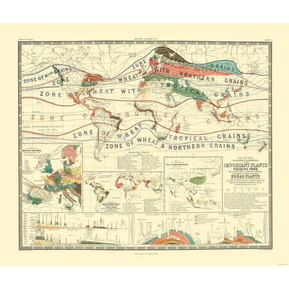 Historic Map - World Cultivation Grains - Johnston - 27.38 x 23 - Vintage Wall Art