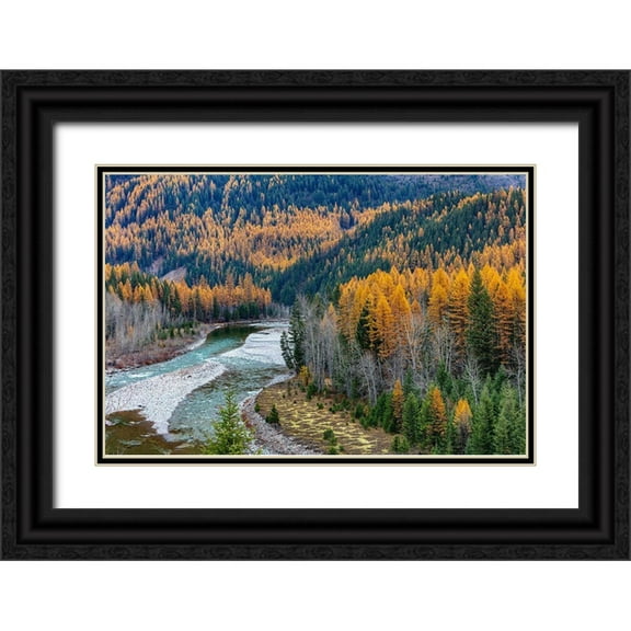 Haney, Chuck 32x23 Black Ornate Wood Framed with Double Matting Museum Art Print Titled - Middle Fork of the Flathead River in autumn in Glacier National Park-Montana-USA